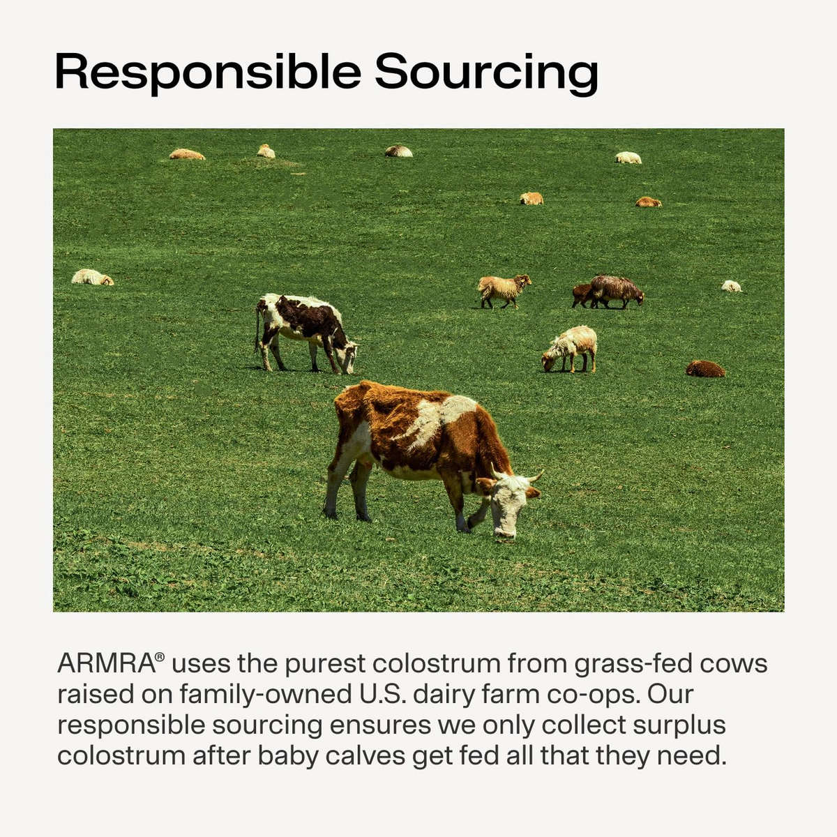 ARMRA Colostrum Unflavored Jar